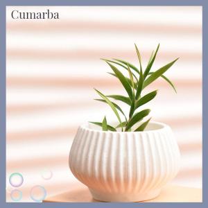 [Cumarba] ชุดแจกันทรงเรขาคณิตจำลองขนาดเล็ก10ชิ้นสำหรับตกแต่งบ้านโมเดลกระถางต้นไม้สีเขียวจัดวางดอกไม้10ชิ้น