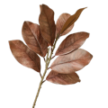 FOUNDTWO 57cm Artificial Magnolia Leaf Branches Lifelike Real Touch Fake Magnolia Plant Photography Props Floral Art Simulated Green Plants Home Office Decor. 