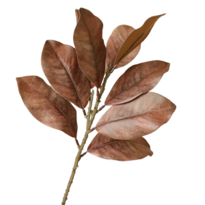 FOUNDTWO 57cm Artificial Magnolia Leaf Branches Lifelike Real Touch Fake Magnolia Plant Photography Props Floral Art Simulated Green Plants Home Office Decor