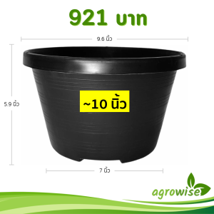 กระถาง กระถางทรงถ้วย กระถางเตี้ย ขนาด เบอร์ 10 9.5 นิ้ว สีดำ ยกมัด 100 ใบ