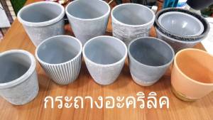 กระถางต้นไม้อะคริลิค ขนาดกะทัดรัดเหมาะสมสำหรับผ่าตัดต้นไม้พันธุ์เล็ก 12 ครั้ง ราคาที่มีบัตรเครดิต 1,200 บาท