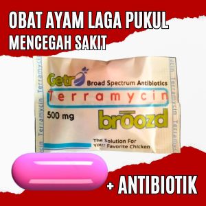 2 sachet Obat Ayam Laga Prongkol Terbaik dari Terra Broozd