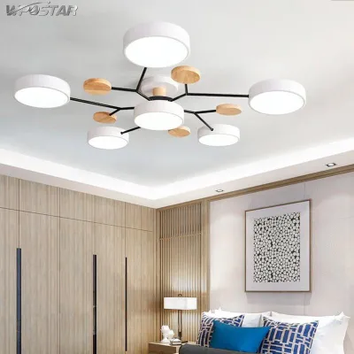 Nordic Minimalist living Room Light Decorative Lamp Aluminum Acrylic Ceiling Light Restaurant Dining Pendant Light