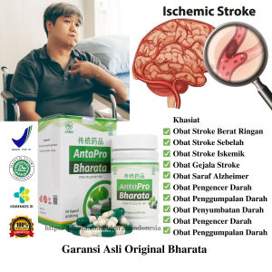 Obat Stroke Paling Ampuh Antapro Bharata Obat Stroke Sebelah I Obat Stroke Ringan Obat Stroke Menahun Herbal Asli Original 100