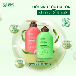 Dầu Gội Bưởi Trà COCAYHOALA Dưỡng Tóc Chắc Khỏe Giảm Rụng Tóc Giúp Tóc Mềm Mượt Tự Nhiên Chai 500gr