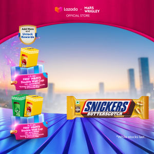 Snickers Butterscotch Single 40g Chocolate / Recharge / Snacks