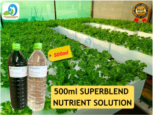 HYDROPONICS NUTRIENTS SOLUTION (500ML PAIR/1LITER PAIR) SUPERBLEND - FOR LEAFY VEGGIES/NFT SET UP/KRATKY METHOD