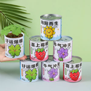 DIY Tanaman Education Mini Garden Grow Kit Tanaman Hampers