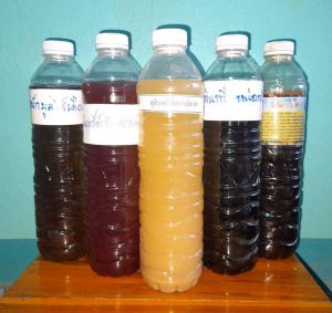 จุลินทรีย์ 5 ชนิด ประกอบด้วย จุลินทรีย์น้ำหมักมูลไส้เดือน  จุลินทรีย์หน่อกล้วย  จุลินทรีย์จาวปลวก  จุลินทรีย์สังเคราะห์แสง และอีเอ็ม