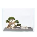 Lũa bonsai mini cho bể cá thủy sinh 25x20 - [Xưởng ts online37], cam kết hàng đúng mô tả, chất lượng đảm bảo, đa dạng các mặt hàng đáp ứng nhu cầu của người sử dụng. 