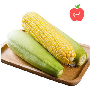 FRESH VEGETABLE- SWEET CORN/JAGUNG MANIS 1PC