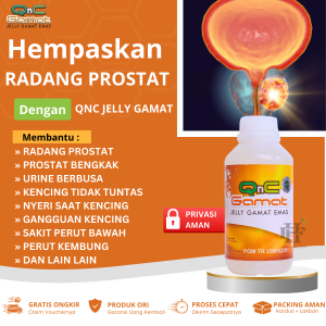 Obat Radang Prostat Prostat Bengkak Nyeri Saat Kencing Kesulitan Buang Air Kecil Urine Berbusa Urine Berdarah Urine Berbau Nyeri Perut Bagian Bawah Gangguan Saluran Kencing Kencing  Tidak Tuntas Kelenjar Prostat Dengan Qnc Jelly Gamat