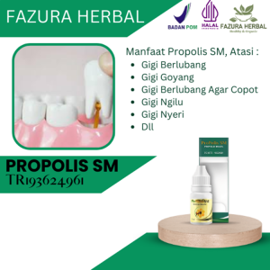 Propolis SM - Obat Gigi Goyang Obat Gigi Berlubang Agar Copot Obat Gigi Berlubang Obat Gigi Ngilu Dan Nyeri Obat Gigi Obat Gigi Kuning Obat Gigi Merosot Obat Polip Pulpa Gigi Obat Gigi Keropos