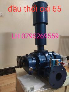 đầu tạo khí oxy 65-3kw tạo oxy nuôi thủy sản tômcá 2 bình dầu đầu hút caonhập khẩu