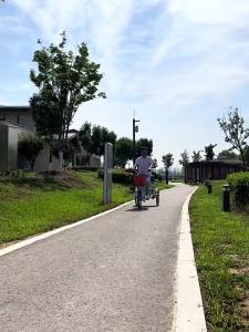 Tricycles For Adults Elderly Pedal Tricycle Bicycle Variable-speed disc brakes lightweight and compact for adults Elderly Tricycle