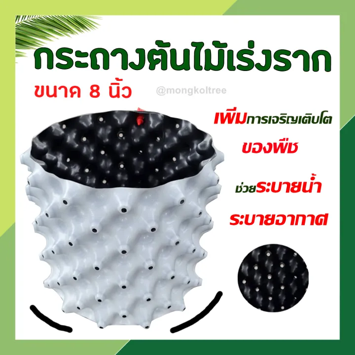 Air Pot ขนาด 8 นิ้ว เร่งรากเร็วขึ้น 2 เท่า