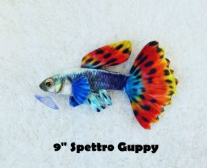 Spettro Guppy - Plushies Soft Toy from Original Green Pleco (US Brand) Fish Aquarium Collectibles (9 inch)