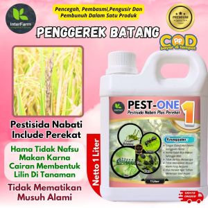 INTERFARM PESTONE Multi-Pak Pembasmi Hama Organik untuk Padi - Botol Plastik 1 Liter