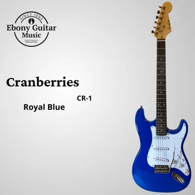 High Quality Standard Electric Guitar Full Set
