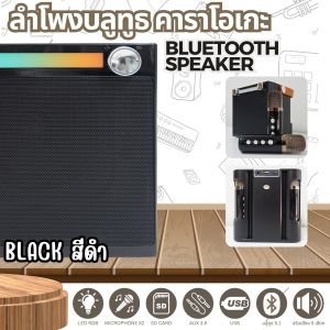 ลําโพงบลูทูธพกพา Bluetooth Speake ลําโพงคาราโอเกะ ไมโครโฟนคู่ CL-223 ชุดคาราโอเกะ