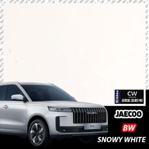 [ JAECOO J5 Touch Up Paint All Colors ] 🚗 CW Aikka DIY Aerosol Spray Car Baru Cat Kereta Lama 补漆 车漆