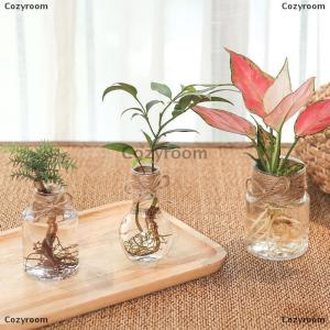 [COD] Cozyroom แจกันดอกไม้ใสภาชนะไฮโดรโพนิกขวดพลาสติกรักษ์โลกสำหรับตกแต่งบ้าน