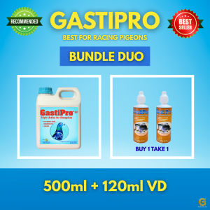 GastiPro Triple Action + VD Drops Bundle Duo