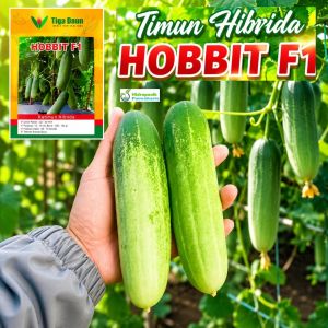 Benih Timun Hijau Hibrida HOBBIT Tipe Rujak 20 gram Cap Tiga Daun