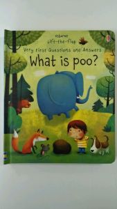 usborne lift the flap poo หนังสืออ่านภาษาอังกฤษ หนังสือสำหรับเด็ก หนังสือภาษาอังกฤษสำหรับเด็ก usborne lift the flap
