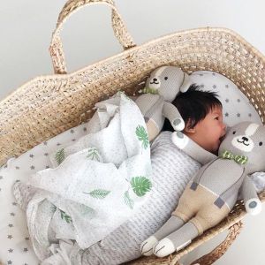 Le Petit Society Organic Newborn Baby Swaddle - Tropical Leaves