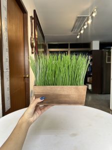 ต้นไม้ประดิษฐ์ ต้นข้าวปลอม กระถางต้นไม้ปลอม ต้นไม้ปลอมพร้อมกระถาง