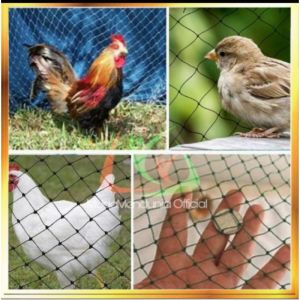 Jaring Anak Ayam Lubang 1 Jari ( 1 cm x 1 cm ) // Ukuran 3Mx10M