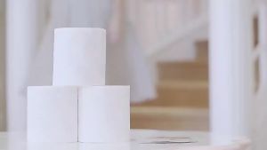 Giấy Vệ Sinh In Liền Nước Nhập Khẩu Nhật Bản Giấy Cuộn Lõi Giấy Vệ Sinh Gia Dụng Cuộn Lớn