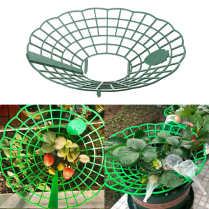 Strawberry Frame Stand Support Holder Planting Rack Soil Avoid Ground Rot Growing Frame Holder Planting
