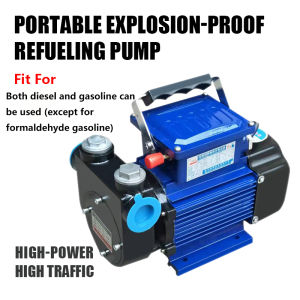 220V 60Hz Self Priming Fuel Transfer Pump Large Flow Gasoline Diesel Electric Transfer Explosion Proof Pump