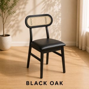 Familystar2u Rattan PU Leather Dining Chair For Kopitiam Dining Table Family Use Homestay Airbnb Condo Furniture 2029