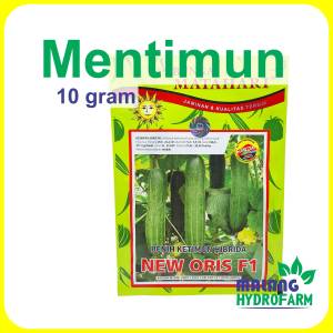 Benih Mentimun New Oris F1 10 gram Cap Bunga Matahari dataran rendah menengah bibit biji ketimun hibrida timun rujak hidroponik hydroponik