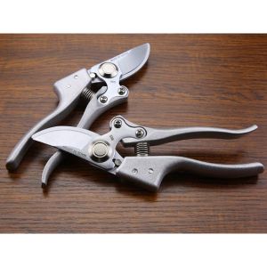 GREGORY-กรรไกรตัดกิ่ง อุปกรณ์จัดสวน กรรไกรตัดกิ่ง​ ​SK5 กรรไกรตัดกิ่งjapan พร้อมส่งไม่ต้องรอนาน เครื่องใช้ในบ้านและสวน Gardening Tools จัดสวน ตัดแต่ง ตกแต่ง