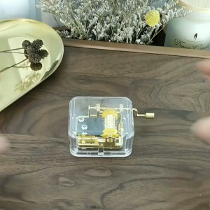 Hand Cranked Music Box See Through Acrylic Wind Up Mechanism Musical Box for Anniversary Birthday Christmas Decors Gift