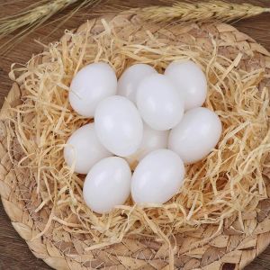 【Local Warehouse】5pcs/10pcs Nesting Egg Solid Plastic Poultry Feeding Supplies False Eggs Simulation Solid Pigeon Eggs Egg Drawing Painted Egg Pigeon-False-Egg-Solid