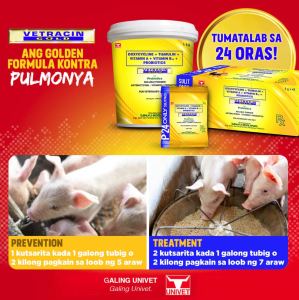 Vetracin Gold Soluble Powder 1kl Vetracin gold powder 1 kg Vetracin gold with probiotics