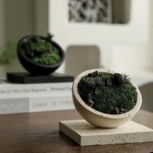 Sacesr Imitation Cave Stone Flower Pot Indoor Decorative Plants Pots Modern Design Bonsai Display Bowls Desktop Flowerpot Ornaments J6H9P