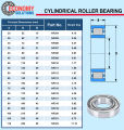 NF305 NF308 NF309 ตลับลูกปืนเม็ดทรงกระบอก รังเหล็ก ( Cylindrical Roller Bearings ). 
