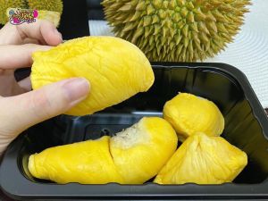 Halal Food Grade A Durian Paste