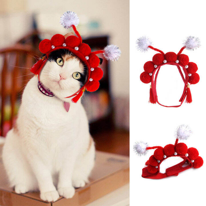 Cat accessories sale lazada