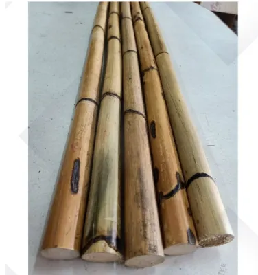 Rotan stick pole wood batang kayu rotan (panjang 86cm-90cm tebal 3cm-3.5cm) 藤棍 ROTAN BATANG 藤柄 3FT/3尺