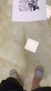 LZ Original cotton T-shirt (inspired by aespas 2024 album Armageddon) Design from exclusivetee