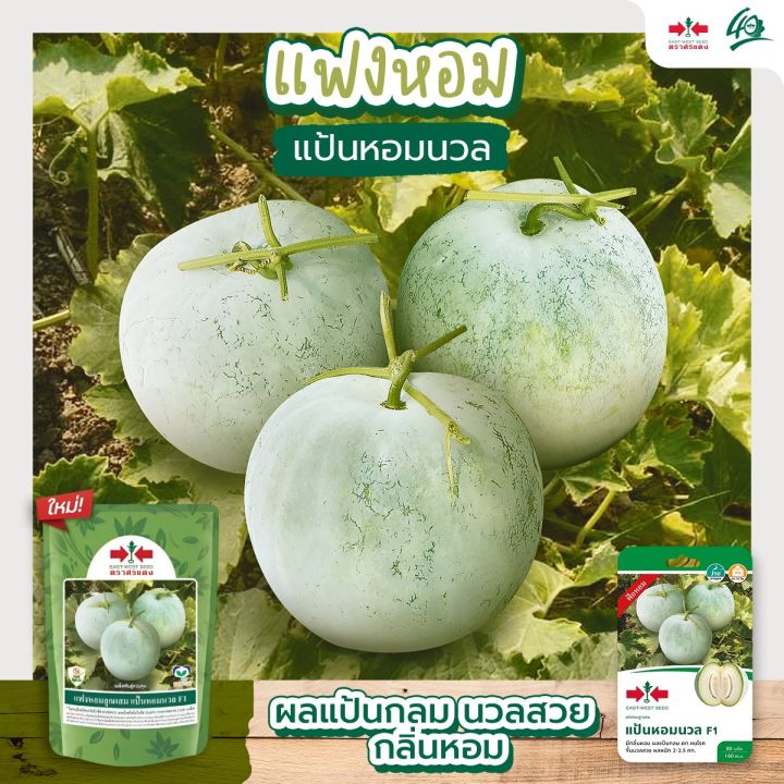 เมล็ดแฟงหอม แป้นหอมนวล ลูกแป้นกลม กลิ่นหอม