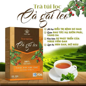 ✅ Trà Cà Gai Leo Hộp 30 Gói [Chính Hãng Cao Cấp] ✅ Trà túi lọc cà gai lẹo xạ đen mát gan tốt cho người sử dụng bia rượu