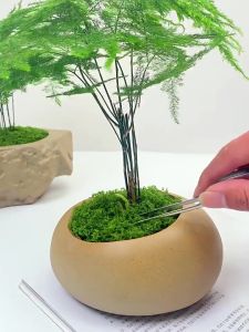 100g Artificial Fake Moss Simulation Ealistic Dark Green Decorative Moss Uv Resistant Diy Crafts Home Decoration Gifts